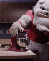 Oh No Cooking GIF by University of Georgia