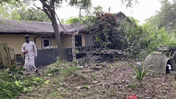 Ap GIF by Clean The City Inc.