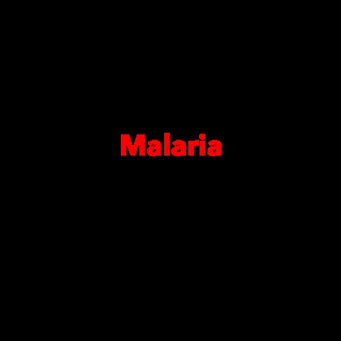 Care_Plus careplus travelhealthgroup malariafreeworld2030 GIF