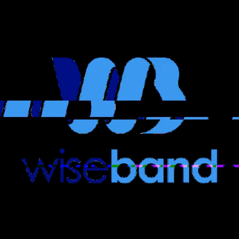 Wiseband music spotify Deezer tidal GIF