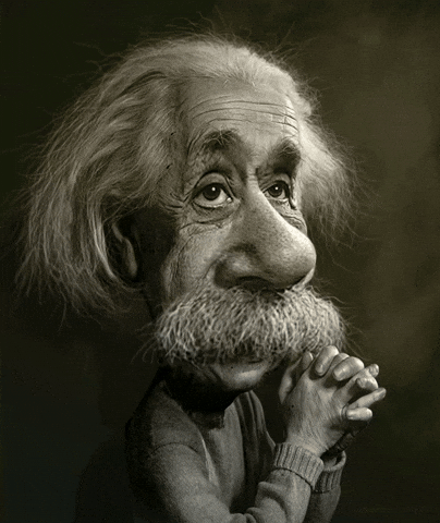 Albert Einstein Brain GIF