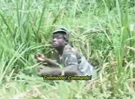 War Africa GIF