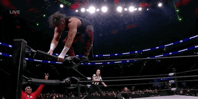 Matt Hardy Aew On Tnt GIF by All Elite Wrestling on TV