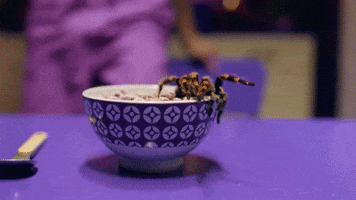 200.gif?cid=fc005b0804d9cef28a178821ccc6cb0d16fee26f7b7e8314&rid=200.gif&ct=g
