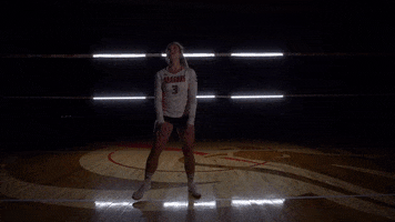 MSUMDragons volleyball dragons msum msum dragons GIF