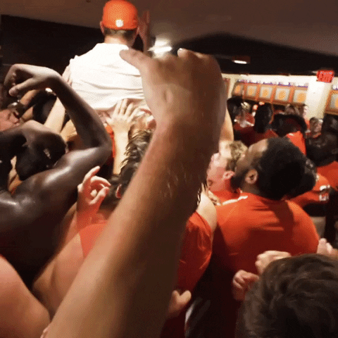 Go Tigers Deal With It GIF by Clemson Tigers