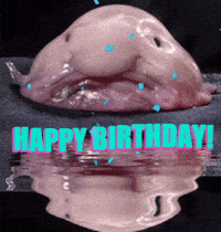 10 Weird Happy Birthday GIFs by Reaction GIFs