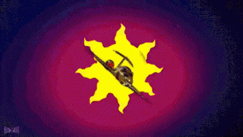 Airplane GIF