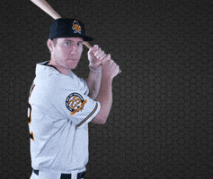 Ty Kelly Baseball GIF by Salt Lake Bees