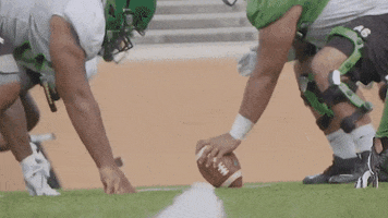 MeanGreenSports gmg northtexas meangreen gomeangreen GIF