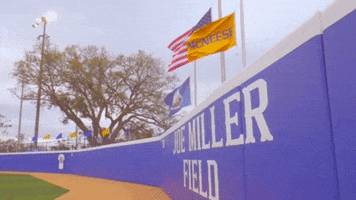 Go Pokes GIF by McNeese State University
