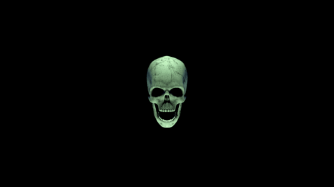 Human Skull Head