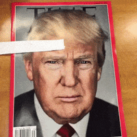 https://media1.giphy.com/media/UYufsAqEpX9aU/200w.gif#204