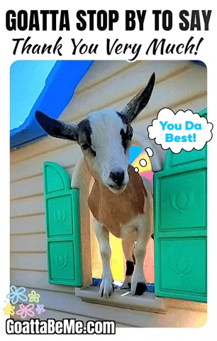 Thanks Thank You GIF by Goatta Be Me Goats! Adventures of Java, Toffee, Pumpkin and Cookie!!