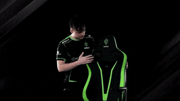 Chair Noblechairs GIF by Sprout
