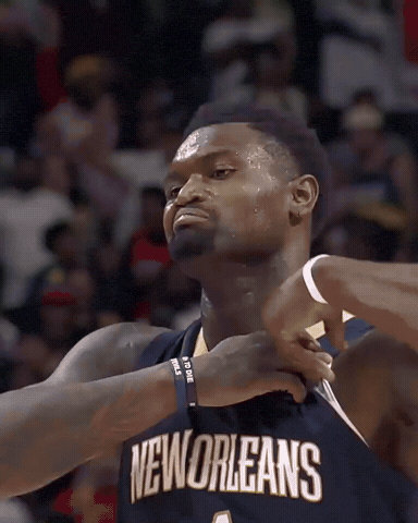 Zion Seatbelt GIF by New Orleans Pelicans