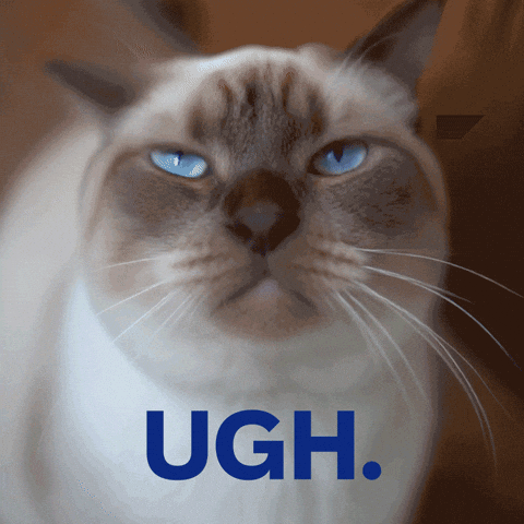 Angry Cringe GIF by SAP