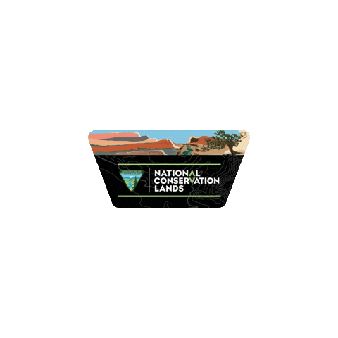 Blm Protect Sticker by Conservation Lands Foundation