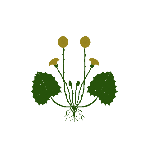 Summer Grow Sticker
