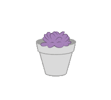 Plant Cactus Sticker