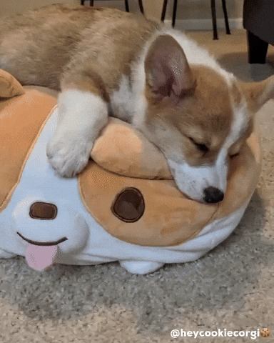 Tired Puppy GIF