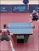 Table Tennis GIFs - Find & Share on GIPHY