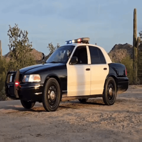 Ford GIF