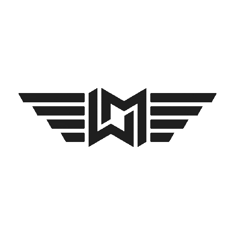 Discgolf Sticker by WingmanDiscs