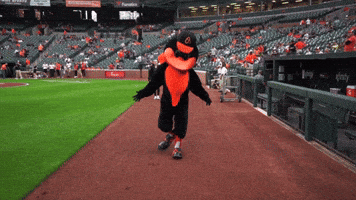 Orioles-chant GIFs - Get the best GIF on GIPHY