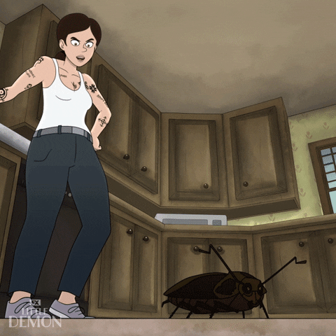 Roach-stomp GIFs - Get the best GIF on GIPHY