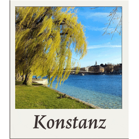 jobangebote konstanz