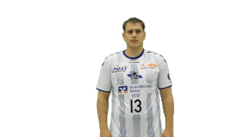 Sport Handball Sticker by TV Korschenbroich