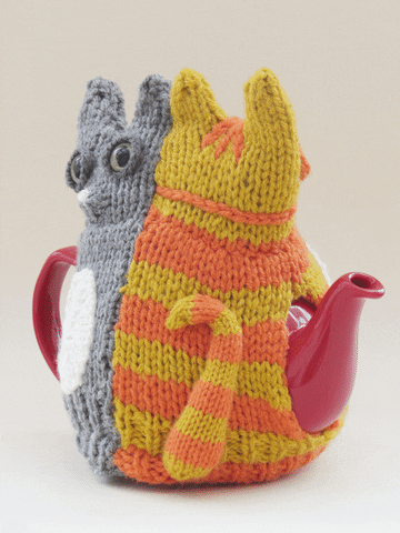 TeaCosyFolk cats feline knit teacosyfolk GIF