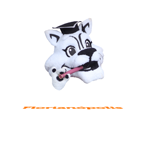 Festa Vivaeventos Sticker by Ticomia Formaturas