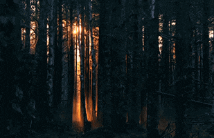 Featured image of post Gif Natureza 4K