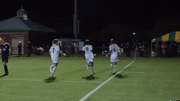 Soccer Goalcelebration GIF by William & Mary Tribe Athletics