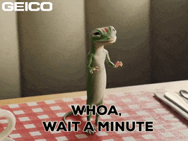 Wait A Second GIF by GEICO