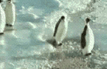 giphy.gif?cid=790b76117845d354ffefab9cee