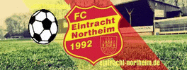 Eintrachtnortheim GIF