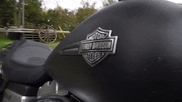 Riders_Point motorcycle harley biker sons of anarchy GIF