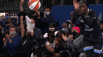 Excited Lets Go GIF by WNBA