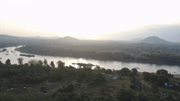Nature GIF