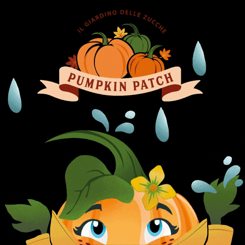 Pumpkin Patch Halloween GIF by Il giardino delle zucche pp