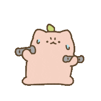 Cat Fitness Sticker by Share It Again for iOS & Android, GIPHY