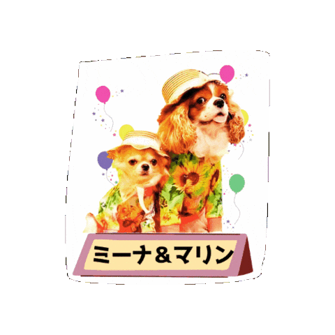 Cavalierkingcharlesspaniel Sticker