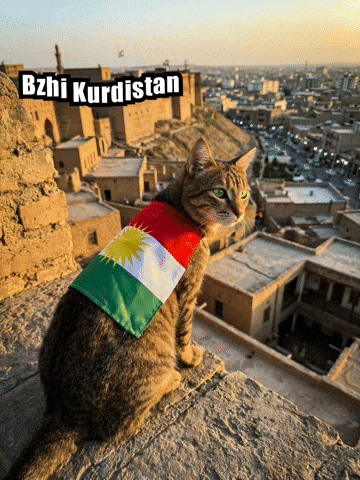 Bzhi Kurdistan GIF