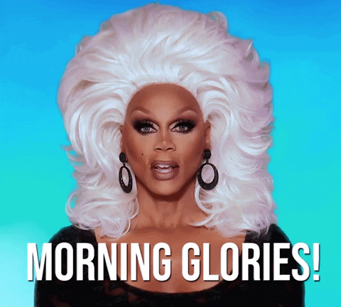 Morning-glories GIFs - Get the best GIF on GIPHY