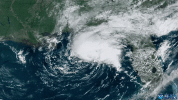Gulf Of Mexico GIF by GIPHY News