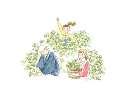 KOSÉ Cosmeport Sticker