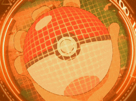 Pokeball GIF by Pokémon